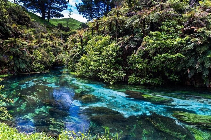 Immerse yourself in the stunning blues of New Zealand's springs where crystal-clear waters meet lush greenery offering a perfect retreat into nature's tranquil beauty. Experience the serenity firsthand.